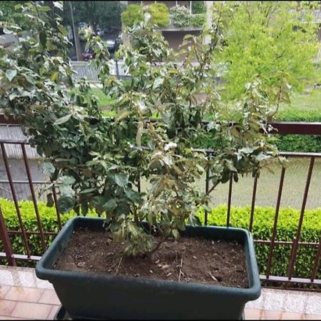 贝尔加莫和丁多尼酒店 外观 照片